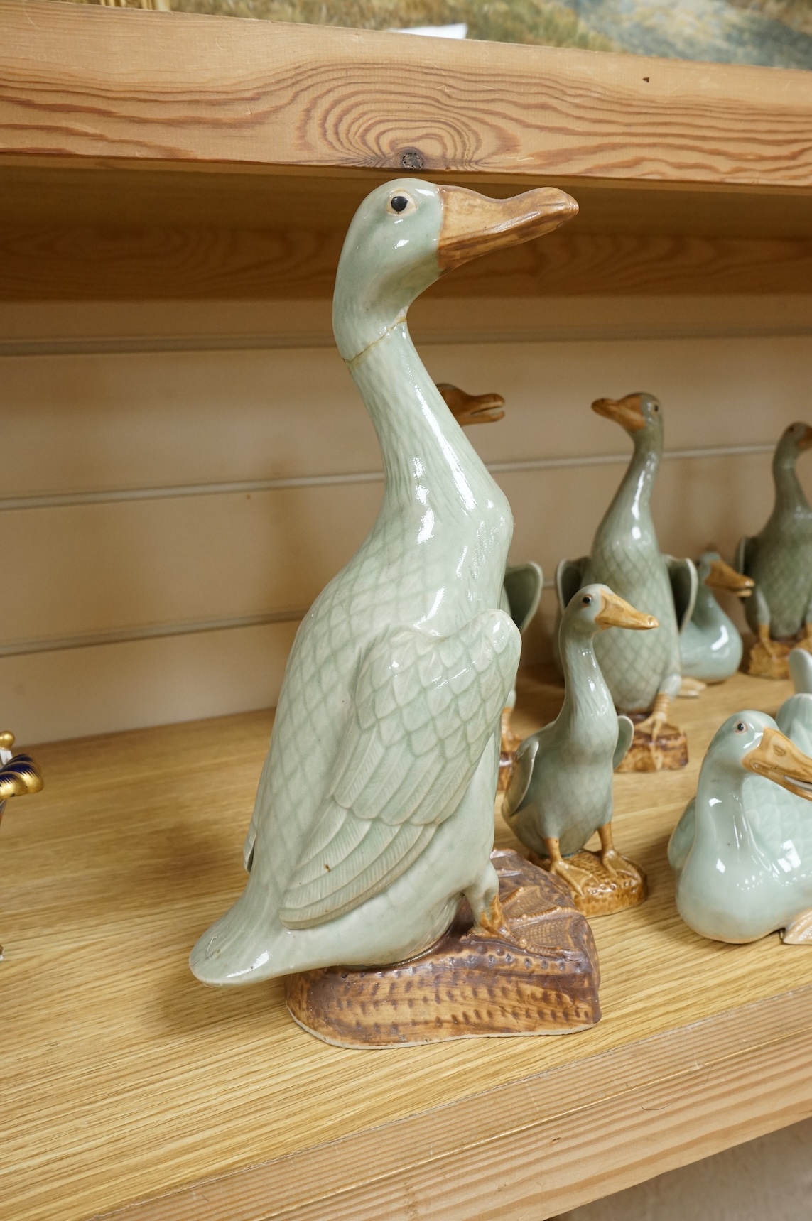 A collection of Chinese celadon glazed models of geese and ducks, largest 31cm high